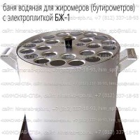 Купить баня водяная для жиромеров бутирометров с электроплиткой БЖ-1 Санкт-Петербург
