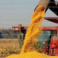 Купить акварин 16 akvarin удобрение минеральное водорастворимое Санкт-Петербург